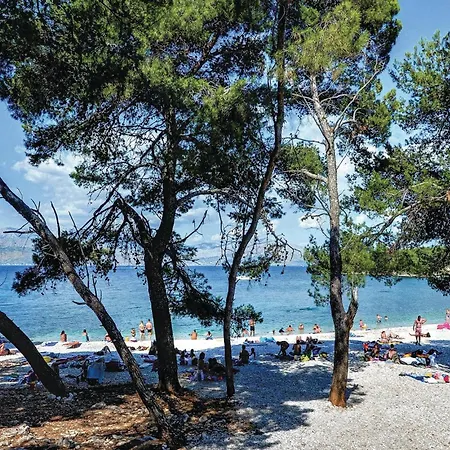 Pet Friendly In With House Sea View *